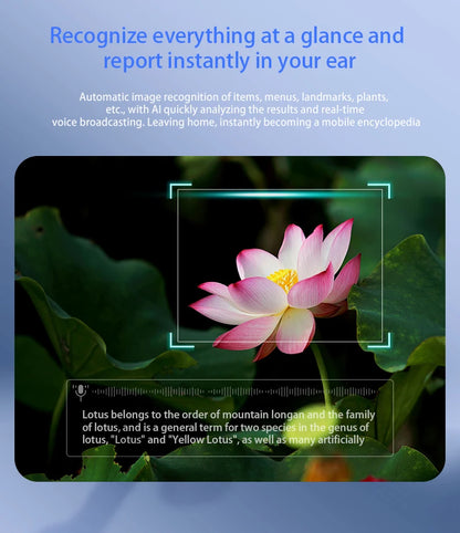 Blackview BV100 Lunettes intelligentes Bluetooth AI avec caméra d'enregistrement vidéo 8MP, lunettes de soleil avec traduction en temps réel, WiFi et BT 5.4